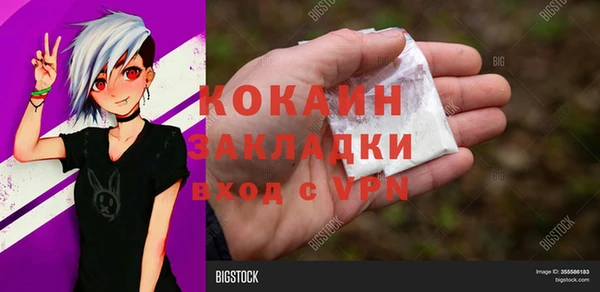 прущие грибы Богородск