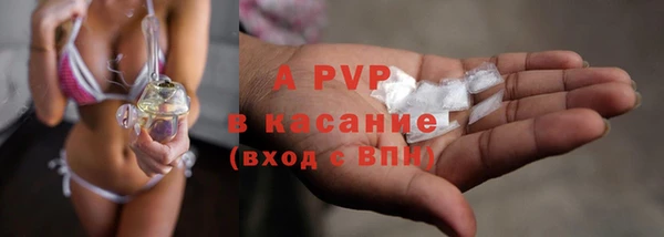 мескалин Богданович