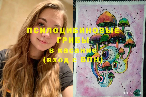 прущие грибы Богородск