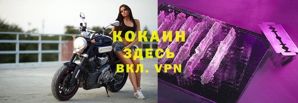 прущие грибы Богородск