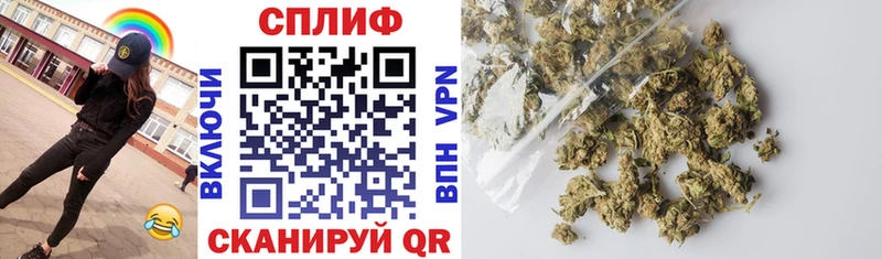 Конопля сатива  Крым 
